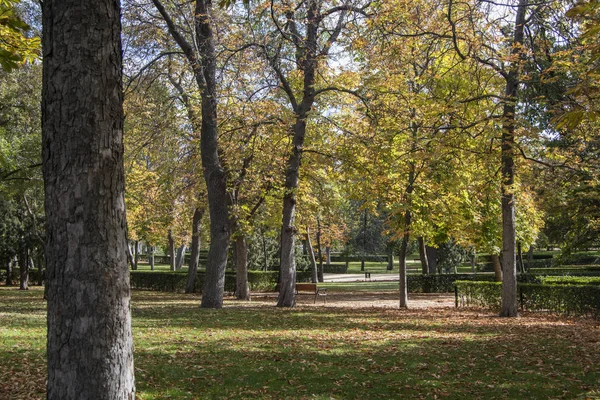 Kilátás Kertek Retiro Park Madridban Spanyolország — Stock Fotó