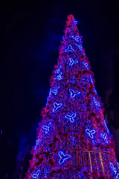 Árbol Luces Rojas Azules Navidad Aislado Sobre Fondo Negro — Foto de Stock