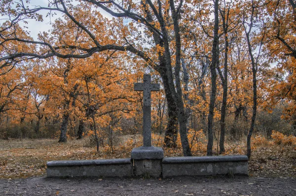 Stenen Kruis Het Bos Van Herreria San Lorenzo Del Escorial — Stockfoto