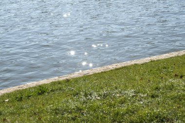 Bir tarafında çimen, diğer tarafında ışık yansıması olan bir göletin kenarına.