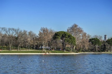 Madrid 'in arkasındaki ağaçlarla birlikte Casa de Campo Gölü 'nün bir bölümünün manzarası. İspanya