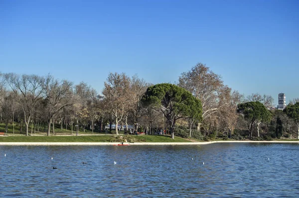 Madrid 'in arkasındaki ağaçlarla birlikte Casa de Campo Gölü 'nün bir bölümünün manzarası. İspanya