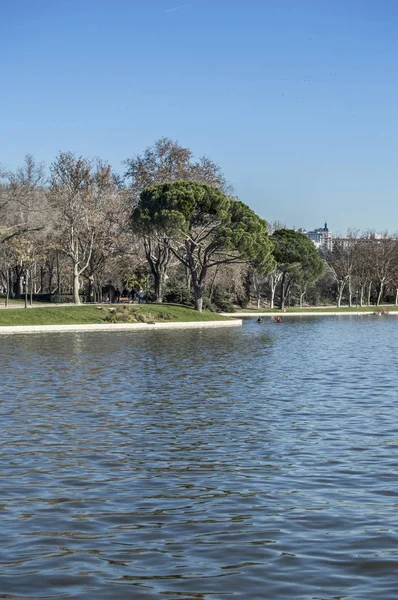 Utsikt Över Del Sjön Casa Campo Med Träd Bakom Madrid — Stockfoto