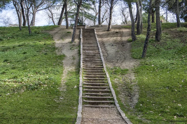 Des Marches Rustiques Dans Parc Madrid Espagne — Photo