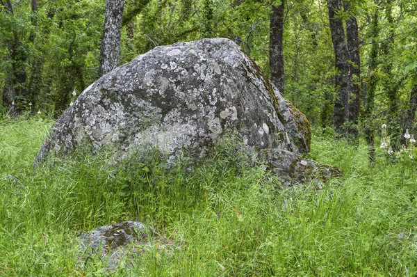 Madrid 'in San Lorenzo del Escorial bölgesindeki Smithy ormanında büyük bir taş. İspanya