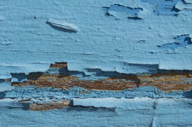 Ahşap bir duvarda mavi boya çatırdıyor ve soyuluyor. Mavi kabuklu eski ahşap zemin