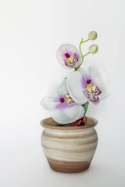 Kis Virágcserép Mesterséges Orchideával Fehér Alapon Elszigetelve — Stock Fotó