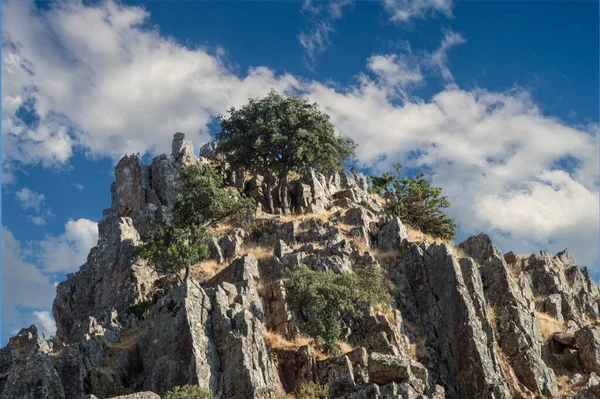 Dub Skále Mikro Rezervě Úžiny Hocino Salobre Provincie Albacete Španělsko — Stock fotografie