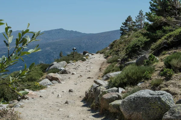 Sentier Forestier Dans Parc National Guadarrama Près Madrid Espagne — Photo