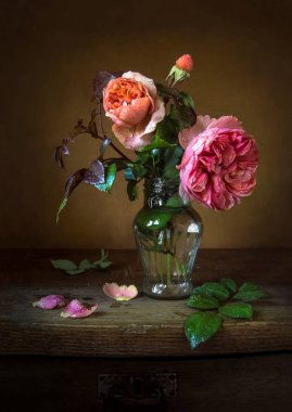 hala hayat çok yumuşak ve güzel büyüleyici