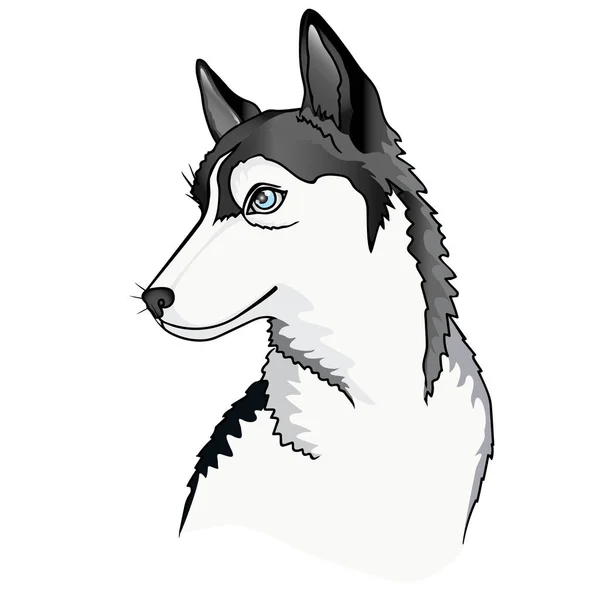 Perro Cachorro Husky Siberiano Ilustración Vectorial Sobre Fondo Blanco — Vector de stock