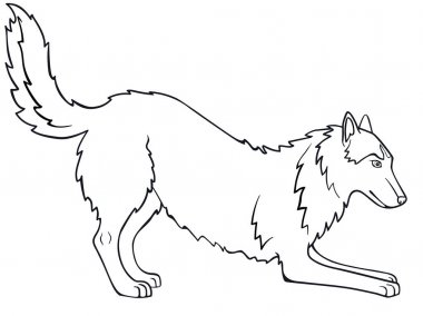 Siberian dış yapraklar, Alaskan Malamute. Köpek oynuyor. Çizgi çizme. Boyama için