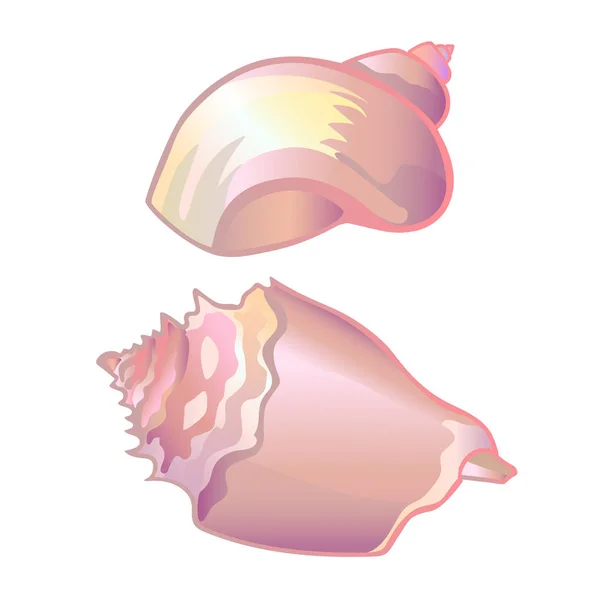 Kagyló Gyöngyház Rózsaszín Tengeri Kagyló — Stock Vector