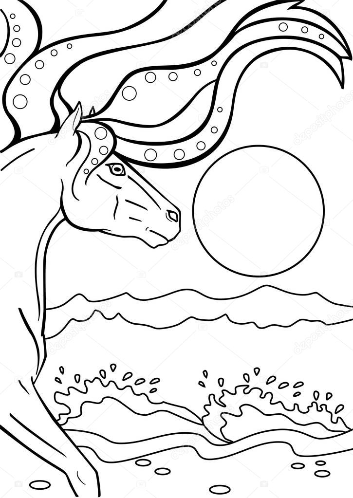 Horse. Kelpy. Water horse on the beach. Line drawing. For coloring.