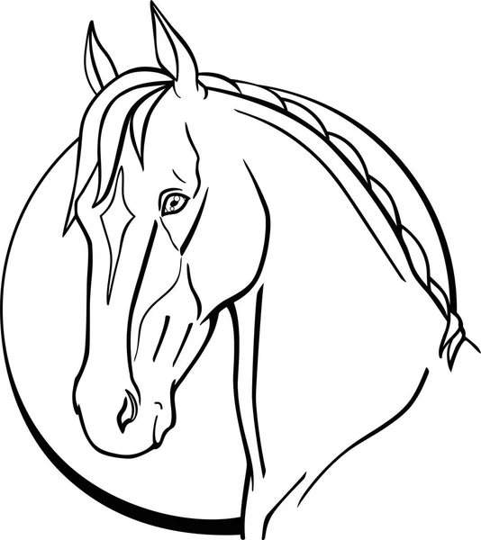 Horse Moon Akhal Teke Horse Background Moon Horse Head Line — Stock Vector
