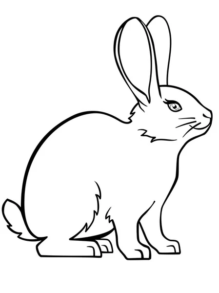 Кролик Банни Линейный Рисунок Кролика Шаблон Раскраски — стоковый вектор