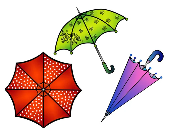 Umbrellas Set Multi Colored Umbrellas Umbrella Peas Umbrella Flower Purple — Stock Vector