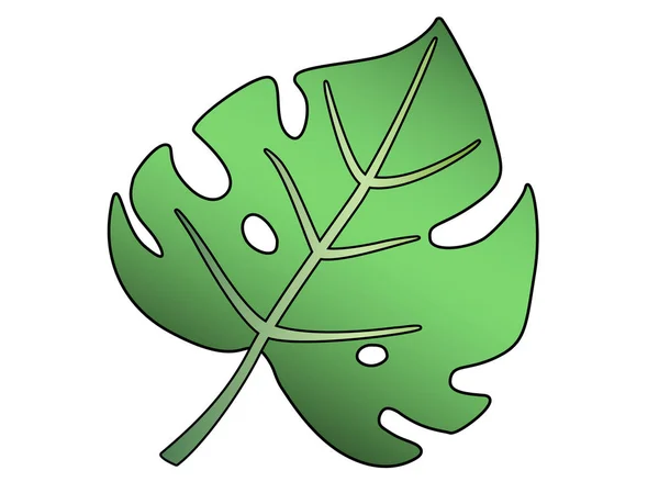 Feuille Une Plante Tropicale Monstère Belle Sculptée Feuille Tropicale Verte — Image vectorielle