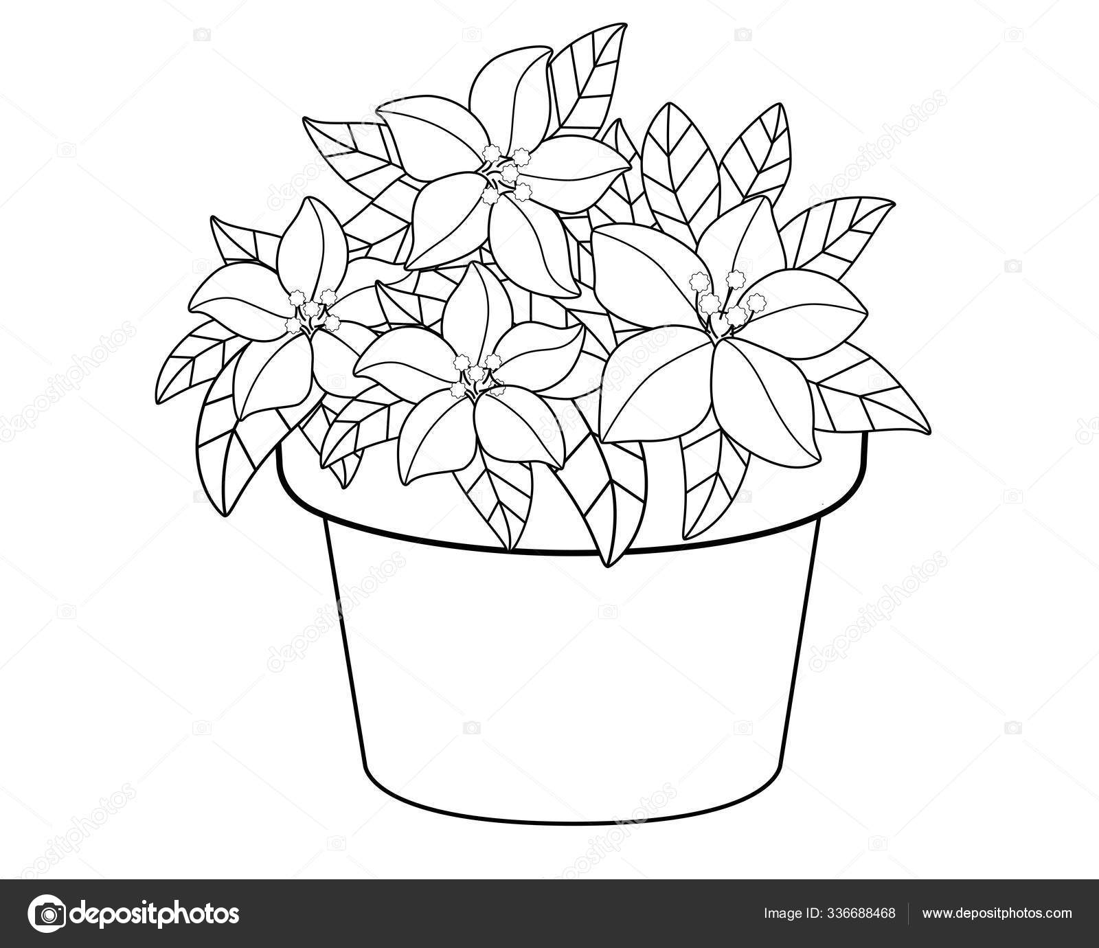 Flower Pot Colouring Page | Free Colouring Book for Children – Monkey Pen  Store