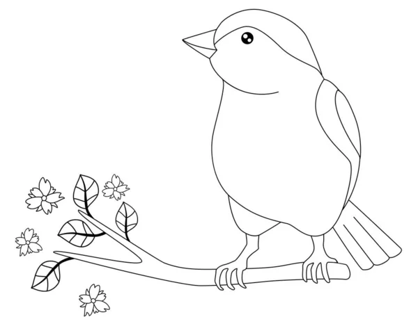 Coloriage avec modèle, la mésange 