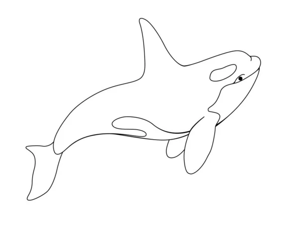 Ballena Asesina Imagen Lineal Vectorial Con Mamífero Marino Rca Cetáceo — Vector de stock