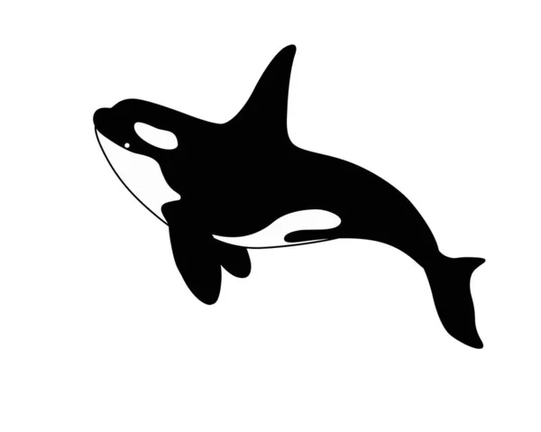 Killer Whale Stock Vector Silhouette Marine Mammal Rca Marine Cetacean — Stock Vector