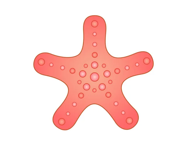 Różowo Koralowe Rozgwiazdy Morskie Zwierzę Ilustracja Wektor Akcji Stylu Kreskówki — Wektor stockowy