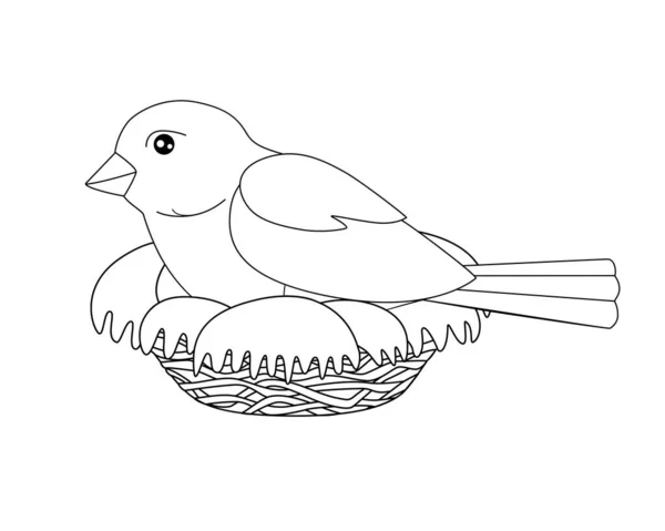 鳥は巣の上に座っている 着色のためのベクトル線形画像 小さな鳥 雀は居心地の良い巣の中で卵を孵化させます 手描き — ストックベクタ