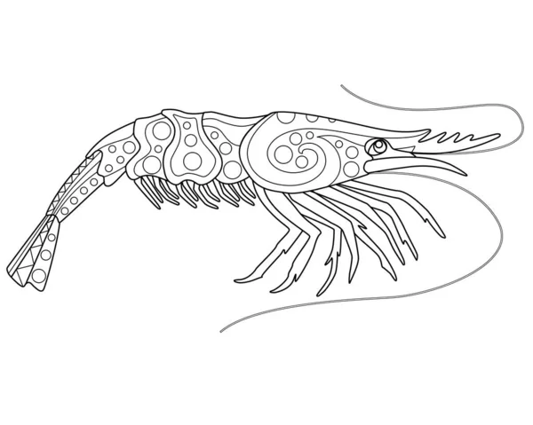 Garnalen Kleurboek Antistress Vector Lineaire Afbeelding Voor Het Kleuren Zeedier — Stockvector