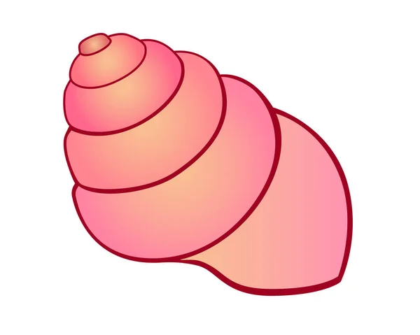 Une Coquille Rose Conique Tourbillonnante Image Vectorielle Couleur Vie Marine — Image vectorielle