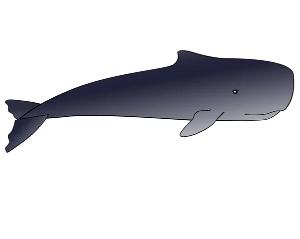 Ballena Ballena Espermática Animal Enorme Del Océano Vector Imagen Degradado — Archivo Imágenes Vectoriales