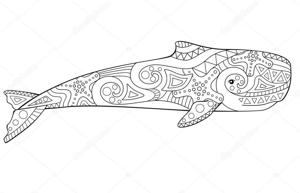 Whale. Sperm whale - a huge animal from the ocean coloring antistress -vector linear picture for coloring. Sperm whale - marine mammal picture for coloring book. Outline. Hand drawing.