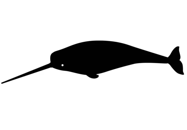 Narwhal Marine Mammal Vector Silhouette Logo Sign Male Narwhal Long — Stock Vector
