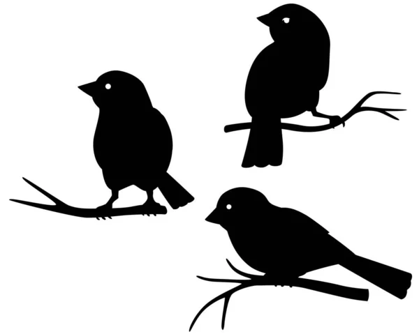 黒いベクトルシルエットのセット 枝の鳥 ロゴやピクトグラムのシルエット 小鳥のサインやアイコン — ストックベクタ