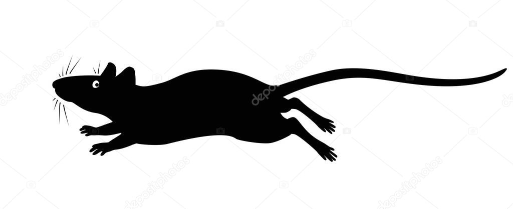 Running rat - vector silhouette for pictogram or logo. Silhouette of a rat or mouse galloping fast for a sign or icon. Running little rodent - black silhouette.