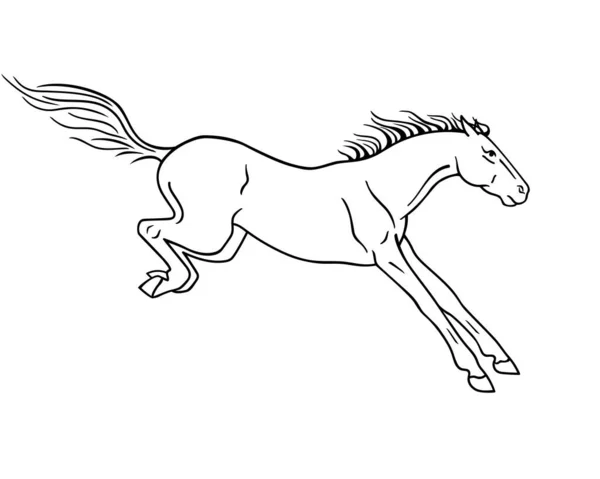 Caballo Aterrizando Después Salto Imagen Lineal Vectorial Para Colorear Pictograma — Archivo Imágenes Vectoriales