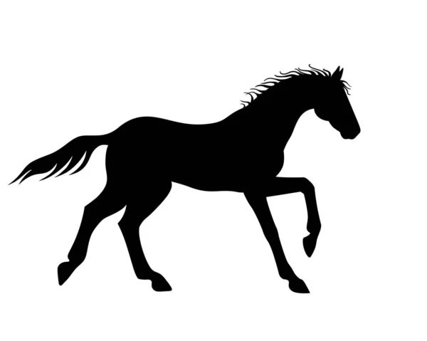 Horse Galloping Vector Silhouette Logo Pictogram Hand Drawing Horse Canter — Stock Vector