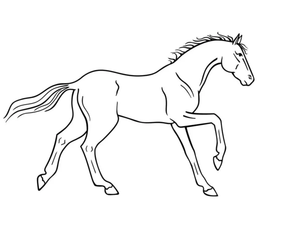 outline galloping horse stock vectors royalty free outline