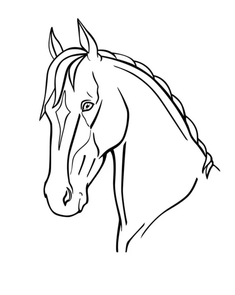 Кінь Витончена Голова Коня Ахал Тека Лінійна Векторна Ілюстрація Розфарбування — стоковий вектор