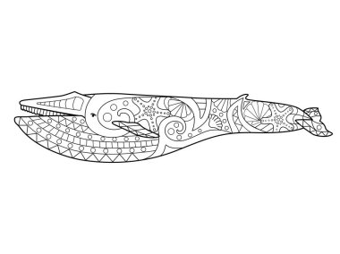 largest mammals free vector eps, cdr, ai, svg vector illustration