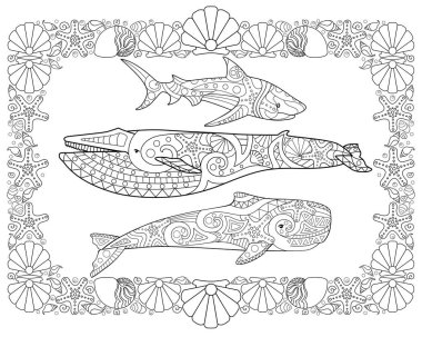 Sperm balinası, mavi balina ve köpekbalığı kabuklarından bir çerçeve - yatay vektör sayfası antistresi boyuyor. Deniz sakinleriyle vektör boyama kitabı. Köpekbalığı, balina ve sperm balinası. Özet.