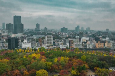 Kasuga taisha Tapınağı Nara Japonya'da