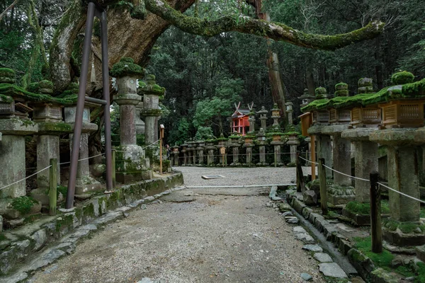Kasuga taisha Tapınağı Nara Japonya'da