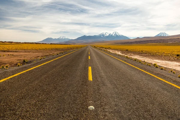 San Pedro de Atacama Çölü'nde yol 