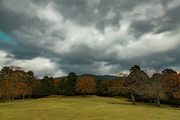 Nara park peyzaj içinde Japonya