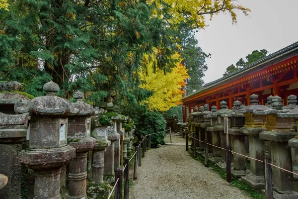 Kasuga taisha tapınakta Nara Parkı