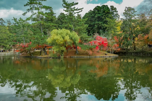 yansımanın kyoto autumm Bahçe ağacı