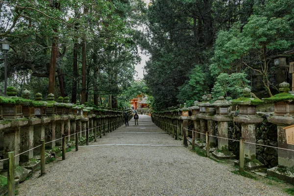 kasuga taisha Tapınağı Japonya'da sokak