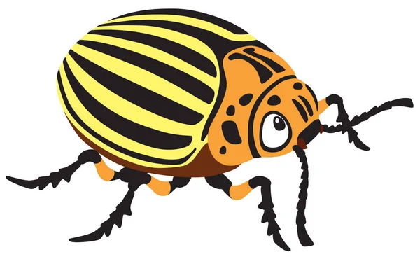 Cartoon potato beetle — Stock Vector