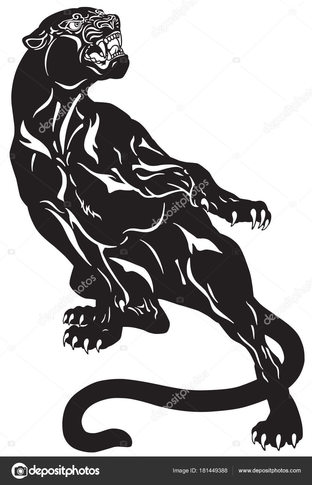 Image vectorielle Panthère Noire Colère Pose D'attaque Illustration  Vectorielle Tatouage Noir Blanc par ©insima - 181449388, image size:1093x1700